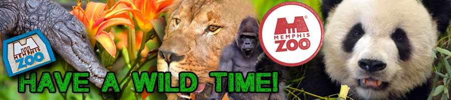 The Memphis Zoo
